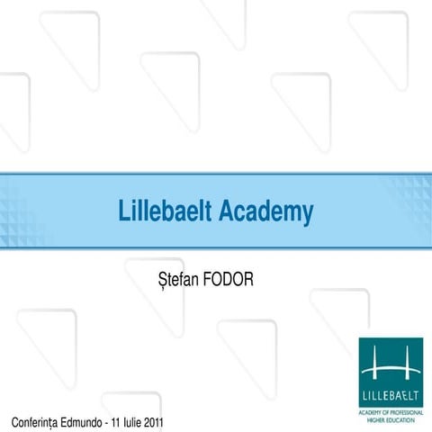 Lillebaelt Academy - ro