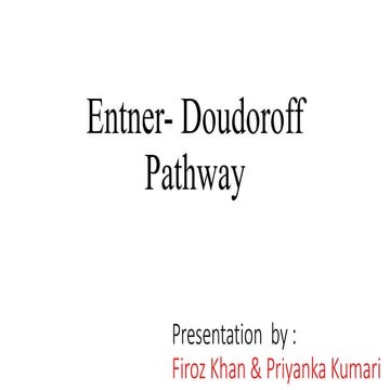 EDP pathway and comparision with PP pathway, EMpathway, Glycolysis 