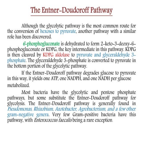 Edp pathway
