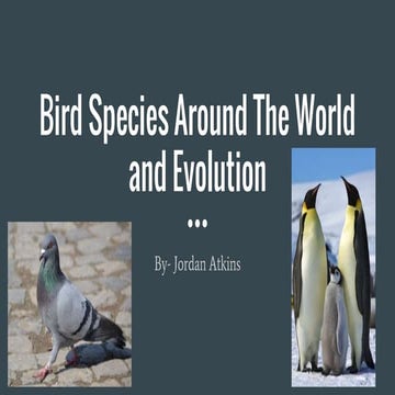 Types_of_Birds_Presentation for reviewer.pptx