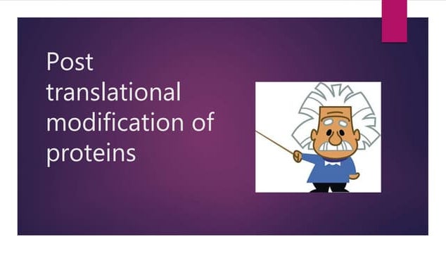 Histone Methylation Animation