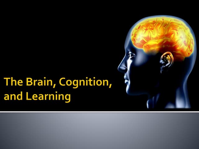 Edt605 wk1the amazing_brain
