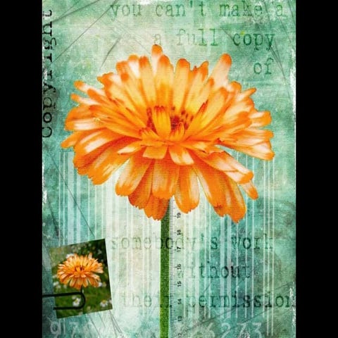 Edtc 6340.66 dara_cepeda_copyrightcc_powerpoint