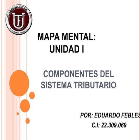 Eduardo febles. mapa mental unidad i de componentes del sistema tributario