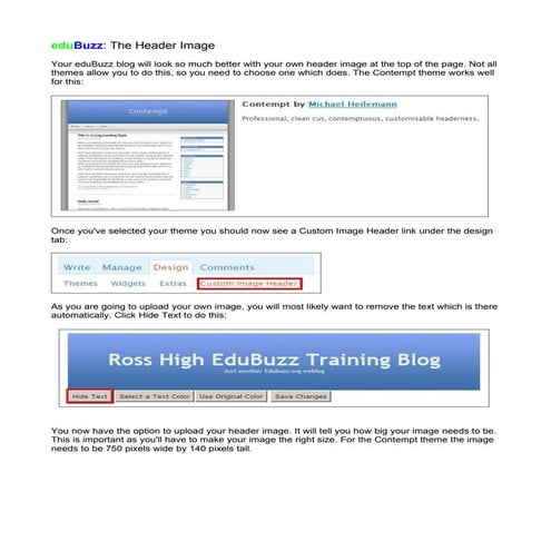 EduBuzz The Header Image