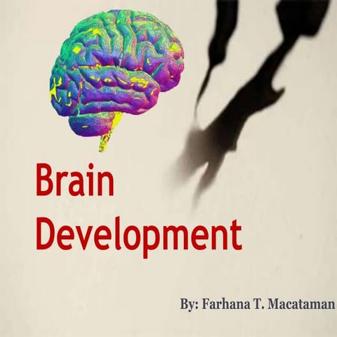Education 1 : Brain development 