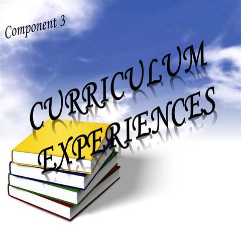 CUrriculum Experiences
