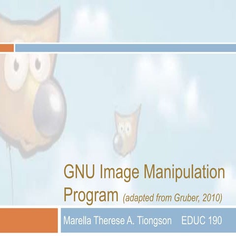 Educ 190 Report on GIMP