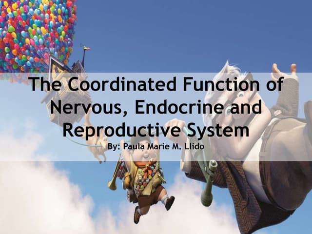 The Nervous System