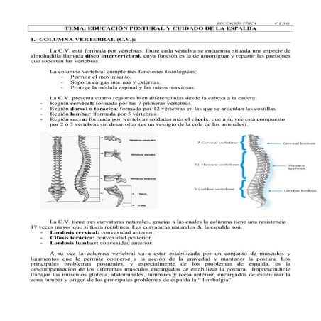 Higiene Postural y Ejercicios Columna | PDF