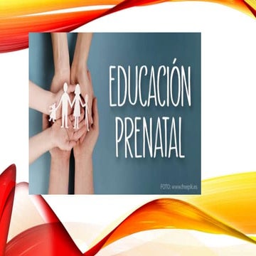 EDUCACION PRENATAL DEFINICIONES pptx | PPTX