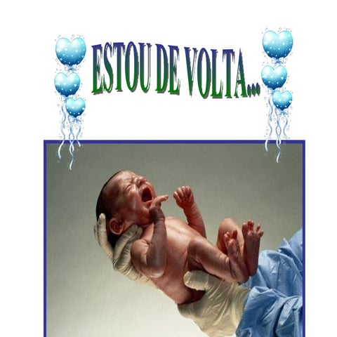 Educação - Wilma Badan