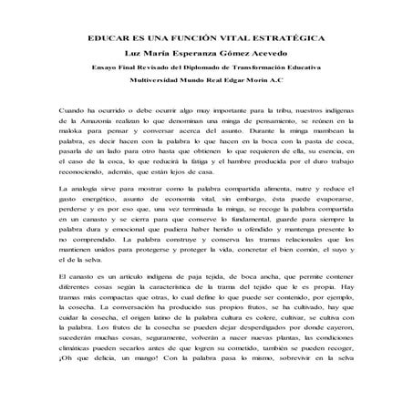 Educar es una función vital estratégica 
