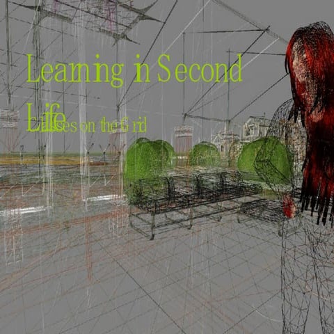 Education In Second Life