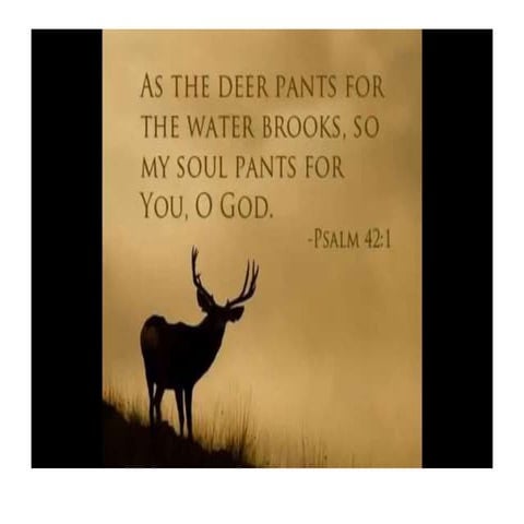 Educational Technology Report.pptx