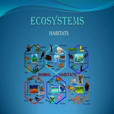 Education technology group assignment