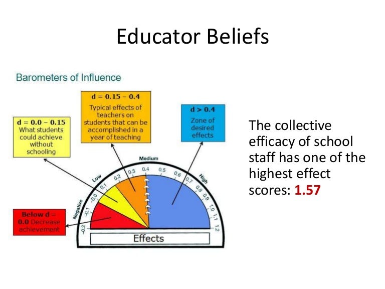 Educator Beliefs