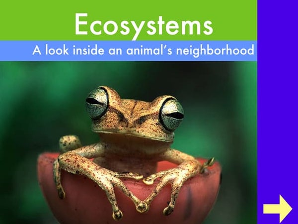 Ecosystems Powerpoint Ecosystems Powerpoint