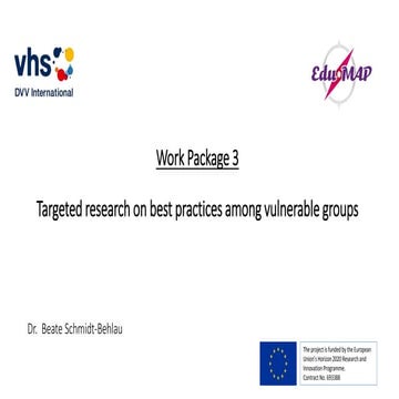 Targeted research on best practices among vulnerable groups (WP3)