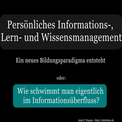 Wie schwimmt man im Informationsüberfluss?