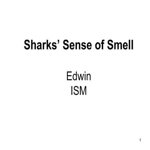 Shark Presentation | PPT