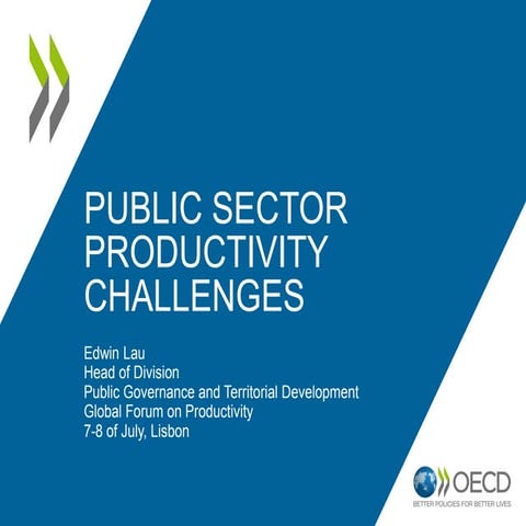 Public Sector Productivity Challenges