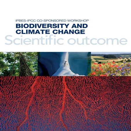 BIODIVERSITY AND CLIMATE CHANGE