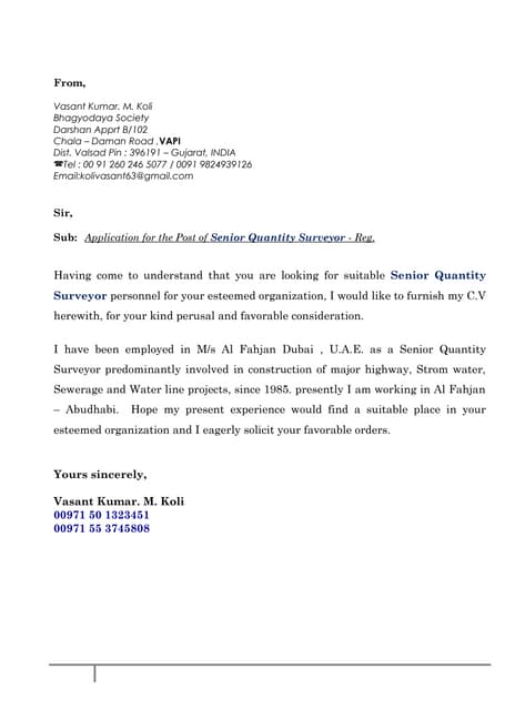 Quantity  Surveyor CV