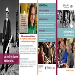 LSU Flores MBA Online MBA | PDF