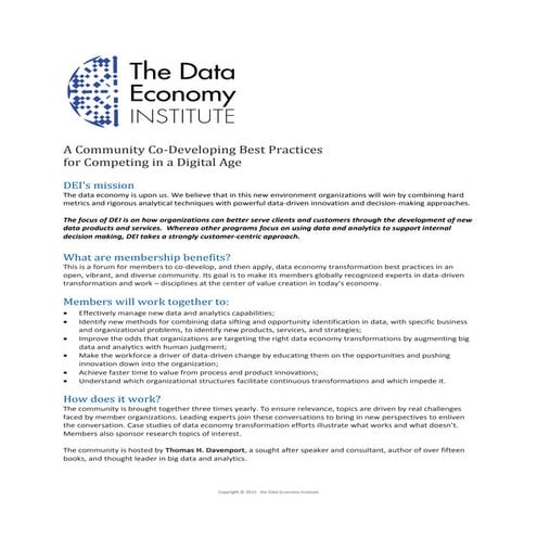 Data Ecomony Institute Short Description 2015