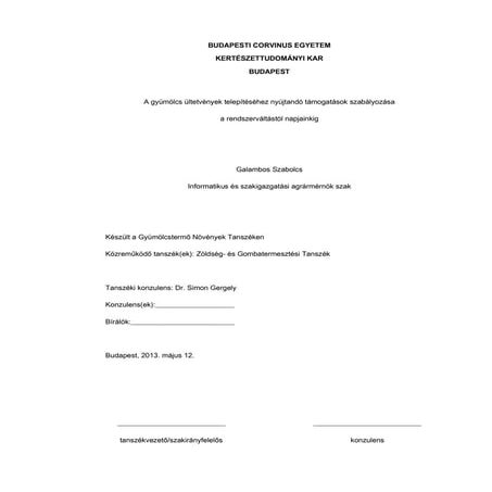 Galambos Szabolcs_ Szakdolgozat