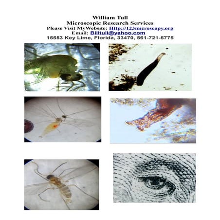 william tull resume | PDF