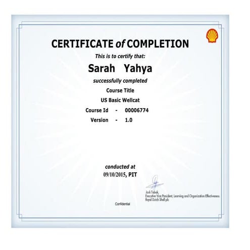 US BASIC WELLCAT Certificate | PDF