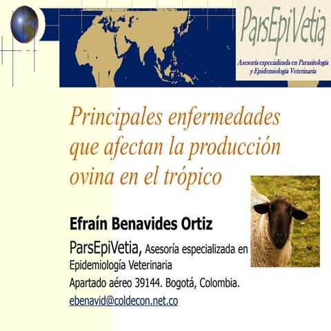 Diagnóstico de las principales enfermedades que afectan la producción ovina y...