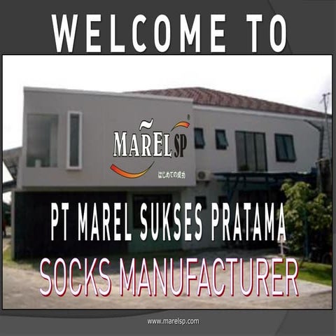 MAREL PRESENTATION (Company Profile)