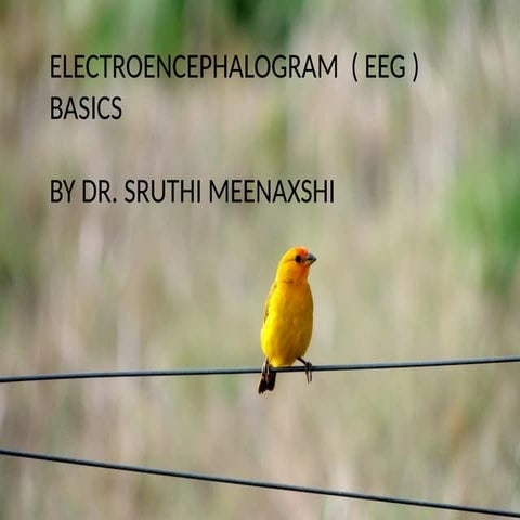 BASICS OF ELECTRO ENCEPHALOGRAM EEG - BASICS
