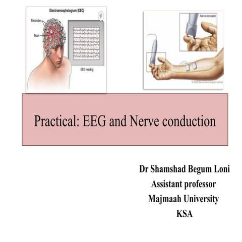 Practical: EEG and EMG  nerve conduction.