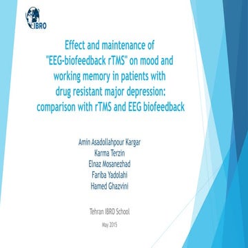 Effect and maintenance of "EEG-biofeedback rTMS" on mood and working memory ...