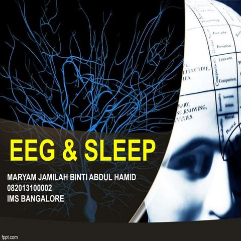 EEG & Sleep