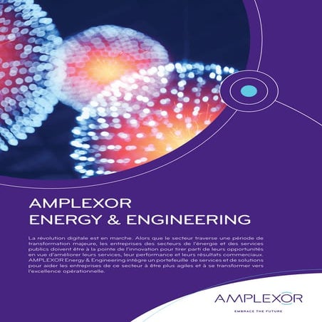 AMPLEXOR Energy & Engineering - Services et Solutions