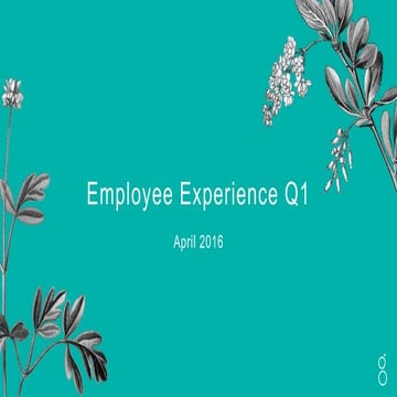 The @greenhouse employee experience team Q1 review