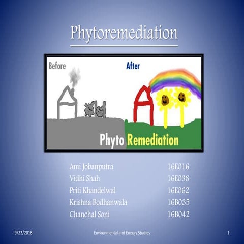 Phytoremediation