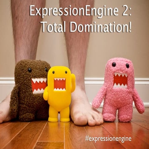 ExpressionEngine 2: Total Domination