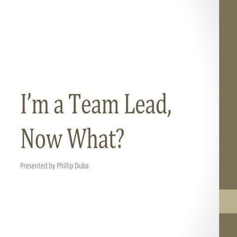 I'm a Team Lead Now What?