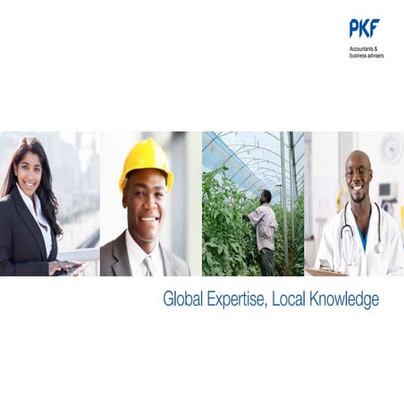 PKF Corporate Profile | PDF