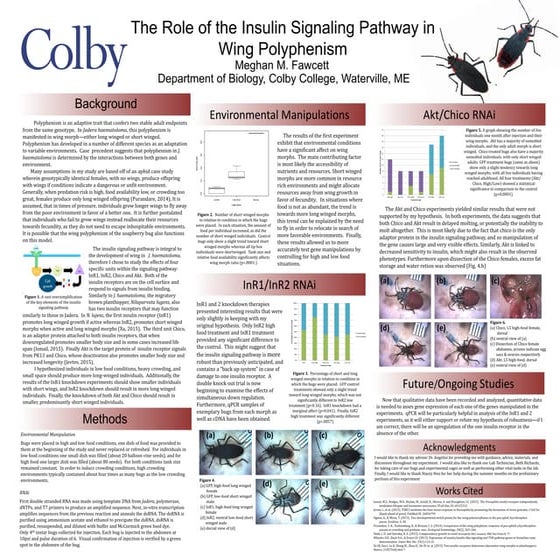 Drosophila Leon mutant:Study of Wing Development | PPTX