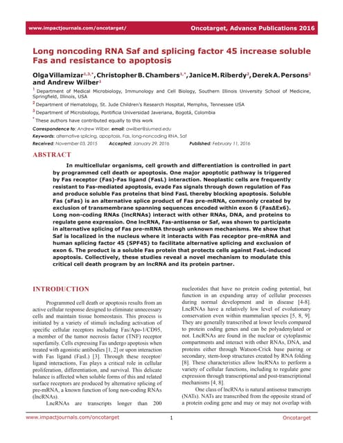 Oncotarget Olga´s paper