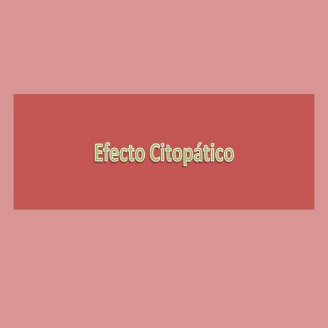 Efecto citopático