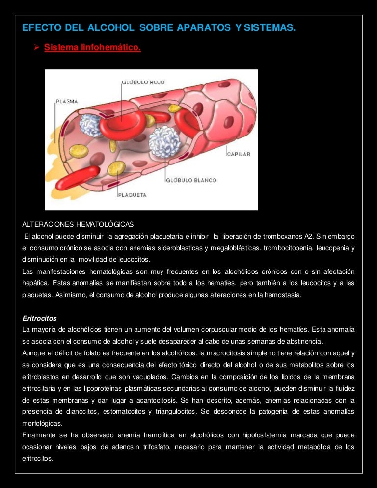 efecto del alcohol sobre la diabetes efecto del alcohol sobre la diabetes