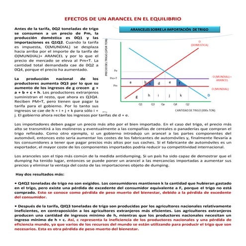 Efecto de los aranceles en el equilibrio | PDF